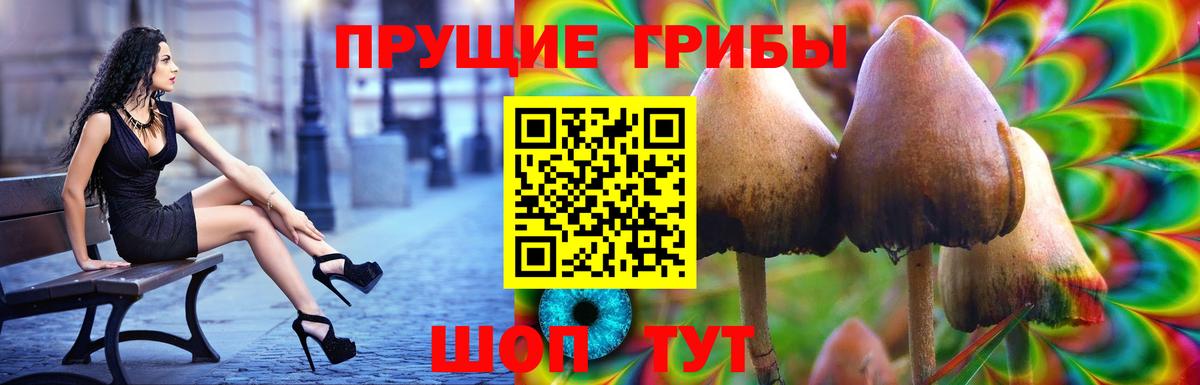 Псилоцибиновые грибы мухоморы Бахчисарай